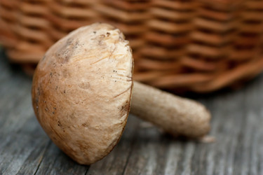 Similar image 757948