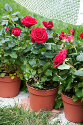 Similar image 758036