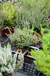 Similar image 758038