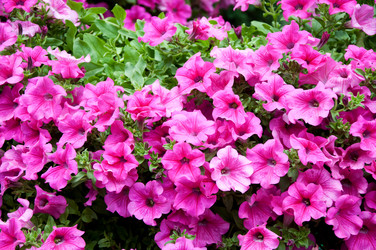 Similar image 758037