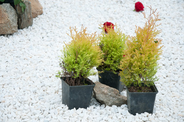 Similar image 758039