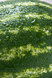 Similar image 758040