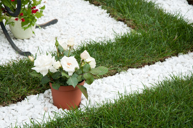 Similar image 758152