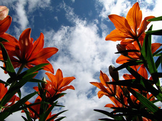 Similar image 758216