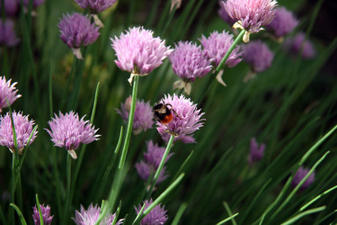 Similar image 758233