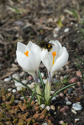 Similar image 758247