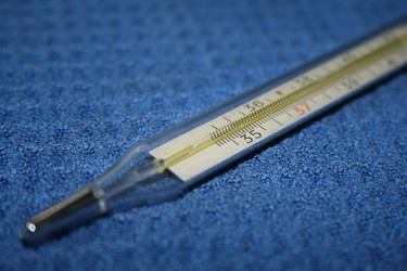 Similar image 758527