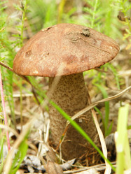 Similar image 758542