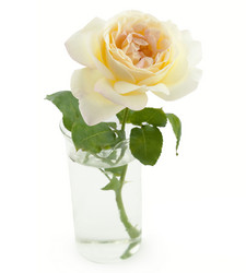 Similar image 758558