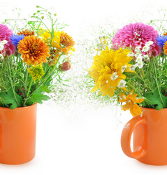 Similar image 758650