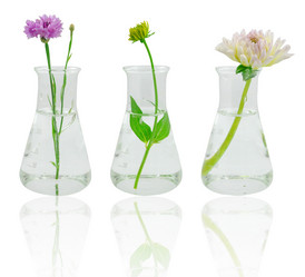 Similar image 758709