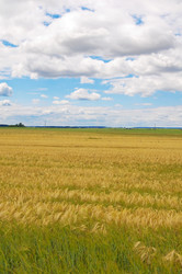 Similar image 759104