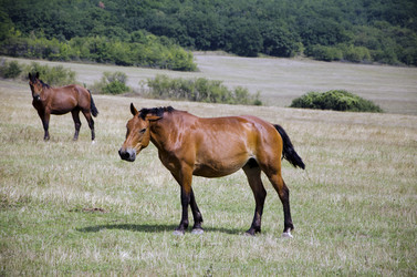 Similar image 759158