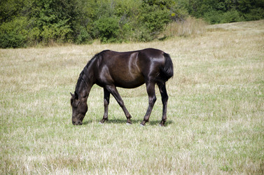 Similar image 759161