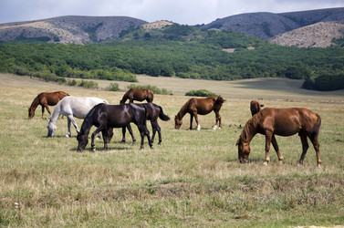 Similar image 759164