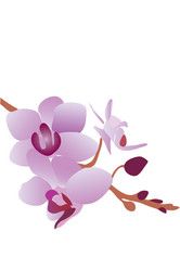 Similar image 759167