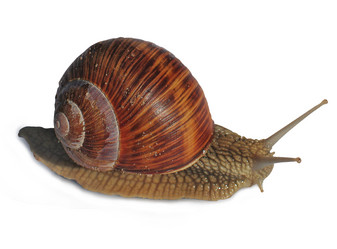 Similar image 759208