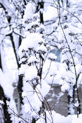 Similar image 759289