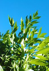 Similar image 759290