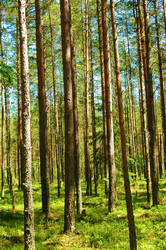 Similar image 759295