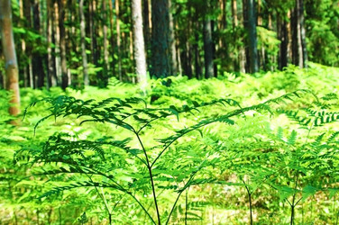 Similar image 759296