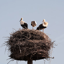 Similar image 759351