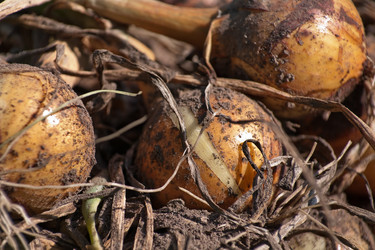 Similar image 759365