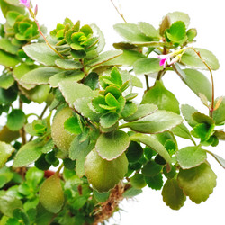 Similar image 759497