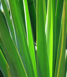 Similar image 759598