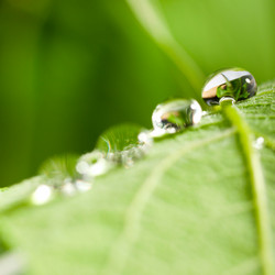 Similar image 759715