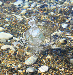 Similar image 759744