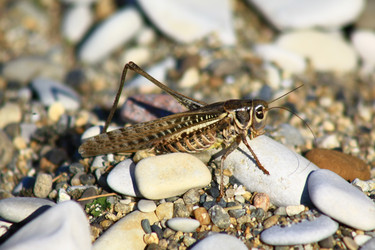 Similar image 759760