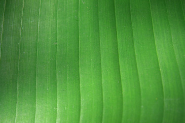 Similar image 759762