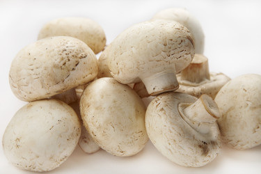 Similar image 760368