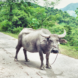 Similar image 760374