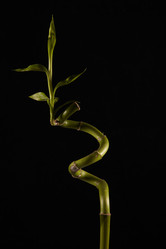 Similar image 760381