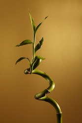 Similar image 760382