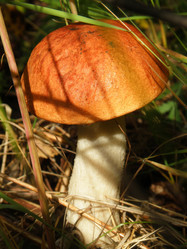 Similar image 760401