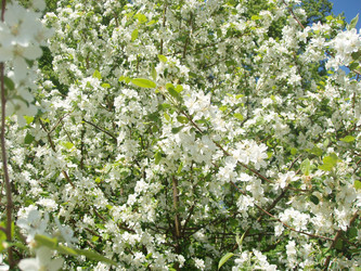 Similar image 760450