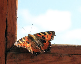 Similar image 760503