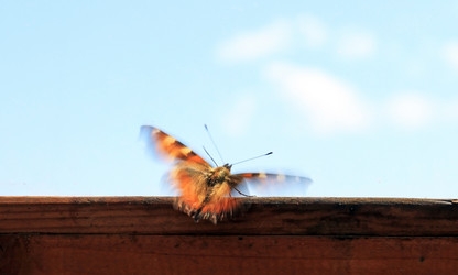 Similar image 760546