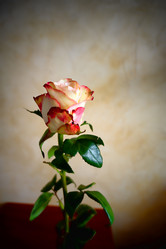 Similar image 760552