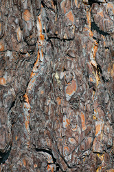 Similar image 760589