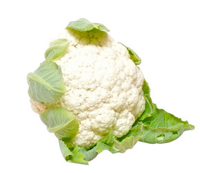 Similar image 760749