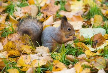 Similar image 760796