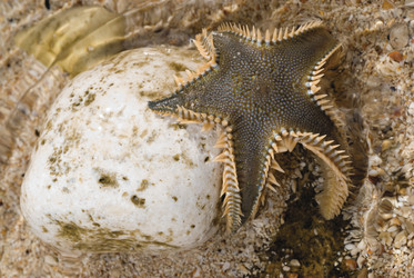 Similar image 760803