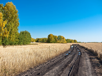 Similar image 760896