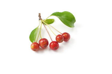 Similar image 760905