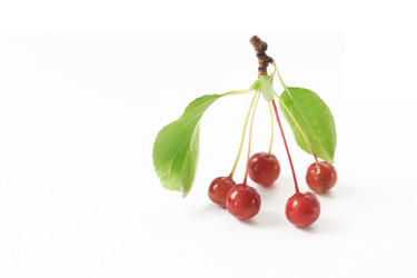 Similar image 760906