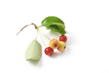 Similar image 760919